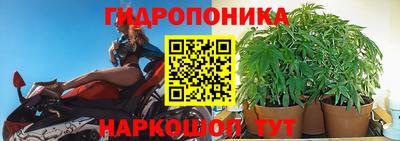 стафф Коммунар