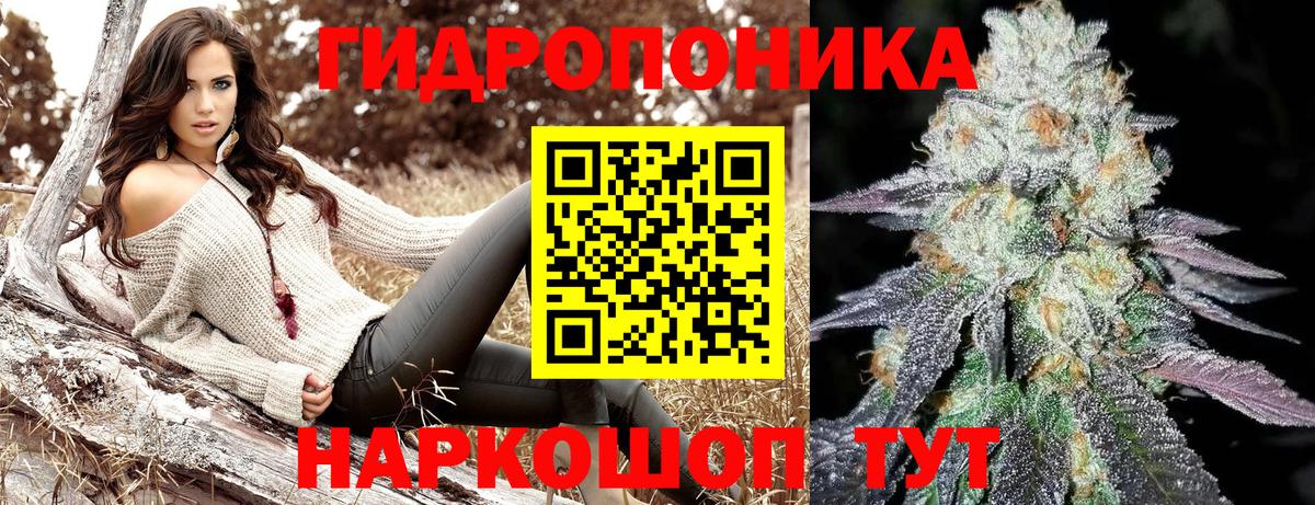 Елизово  Марихуана OG Kush  Бошки марихуана гибрид  Вход с VPN  Конопля конопля 